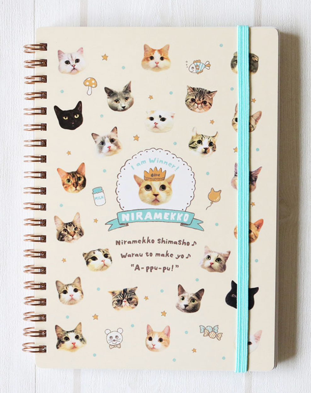 Notebook Cat Circus + Memo Pad